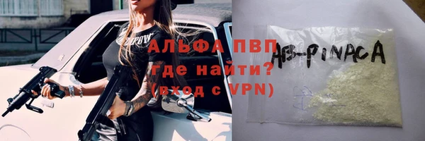 спайс Баксан