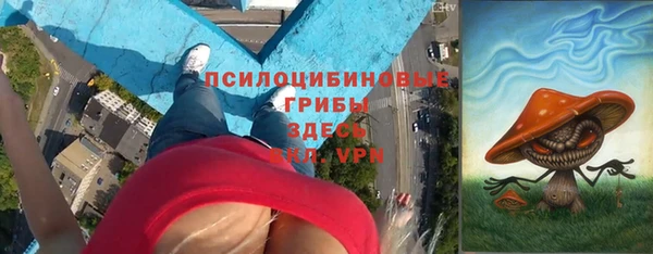 амф Зеленодольск