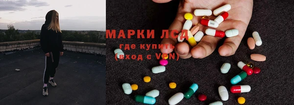 спайс Баксан