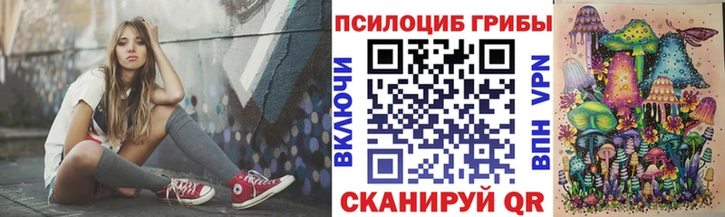 где можно купить наркотик Котельнич Галлюциногенные грибы мухоморы